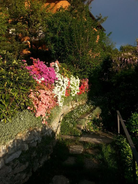 Vila Casa Vacanze Le Violette Brunate Exteriér fotografie