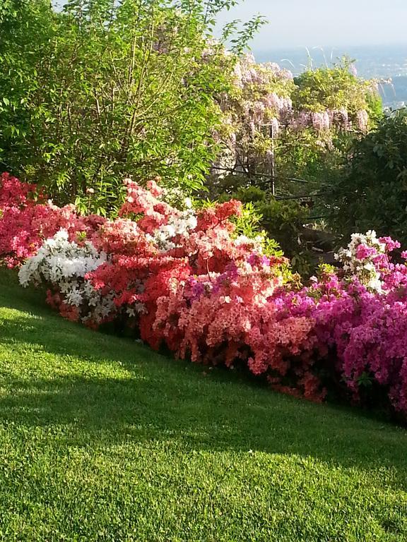 Vila Casa Vacanze Le Violette Brunate Exteriér fotografie
