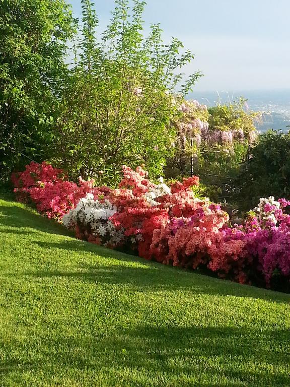 Vila Casa Vacanze Le Violette Brunate Exteriér fotografie