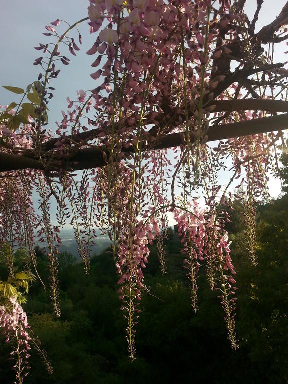 Vila Casa Vacanze Le Violette Brunate Exteriér fotografie